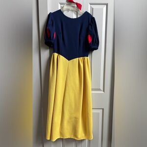 Adult Snow White Disney princess dress costume Halloween believe story time fun